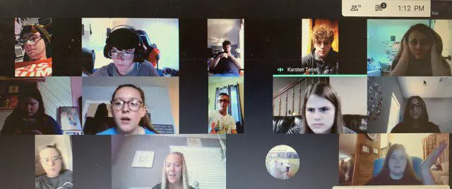 Group video call on computer screen